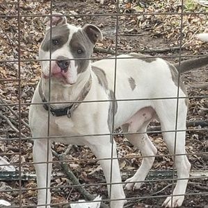 Meet your Posher, Karl